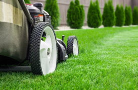 Lawn Mowing
