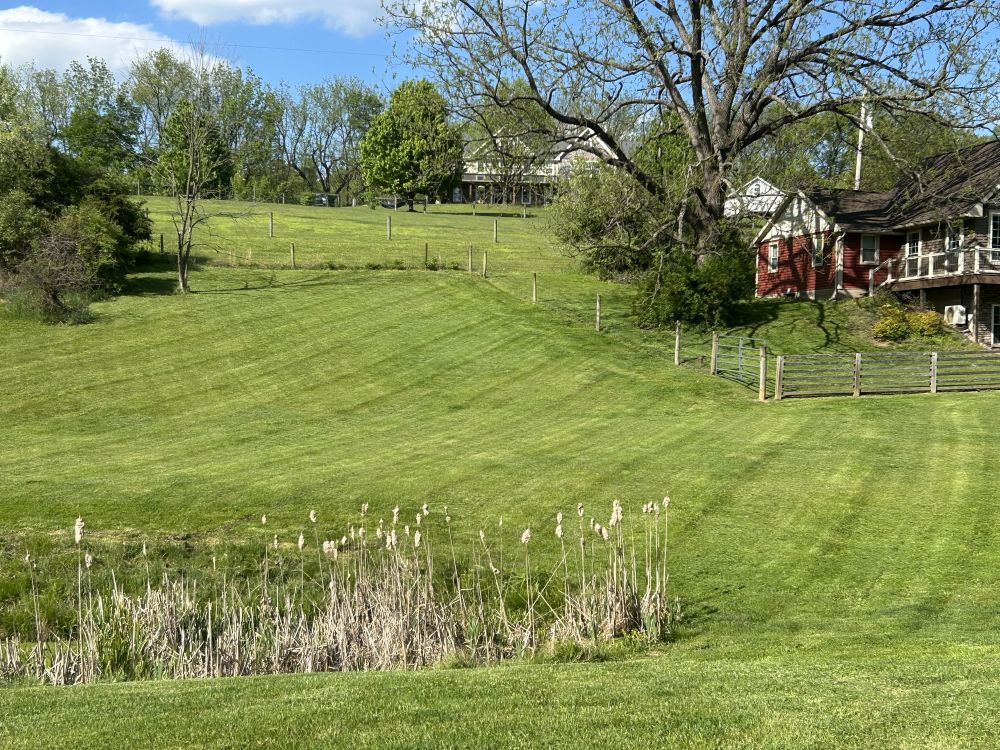 Estate Mowing