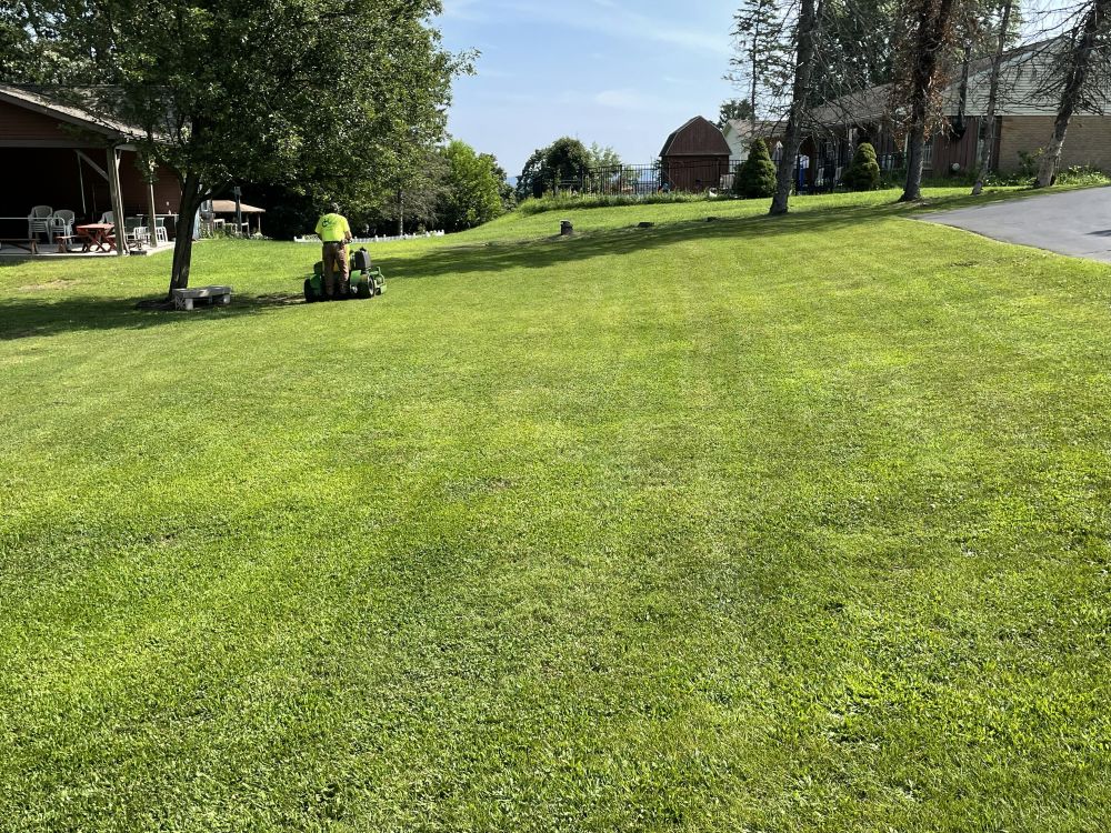 Estate Mowing