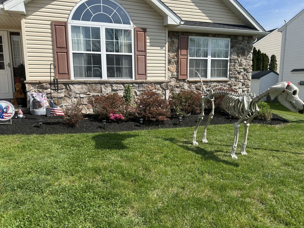 Mulch and Bed Care